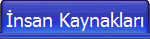 �nsan Kaynaklar�